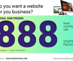 Affordable Website Solutions - Cebu City