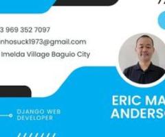 Boost Your Business with Professional Web Solutions - Baguio City