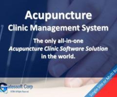 Acupuncture Clinic Management System - Makati