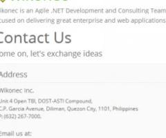 Custom Software Development for Small & Medium Businesses: Inventory, Accounting - Quezon City