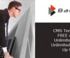 CMS WEBSITE FOR ONLY 1000 PHP per month and CMS Websites for only 25,000 - Pasig