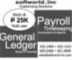 Computerized system (payroll, time keeping and general ledger) - Makati