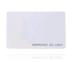 RFID Card Intelligent 125kHz RFID Proximity Card Ent Proximity IC Smart Card Tag