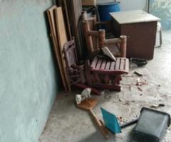 Kittens for Adoption - Quezon City