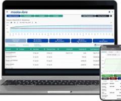 Moolamore - Cutting-Edge Financial Forecasting for Dynamic Businesses - Quezon City